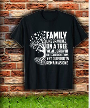 Family Reunion Shirts